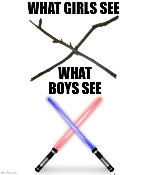 What Girls See VS What Boys See | WHAT GIRLS SEE; WHAT BOYS SEE | image tagged in lightsaber,star wars,boys vs girls | made w/ Imgflip meme maker