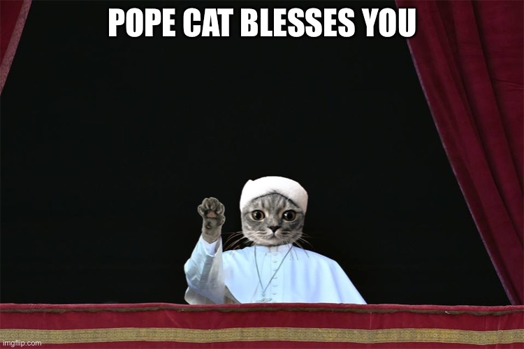 May god bless you and keep you | POPE CAT BLESSES YOU | image tagged in pope cat,cats,memes,funny,bless you | made w/ Imgflip meme maker
