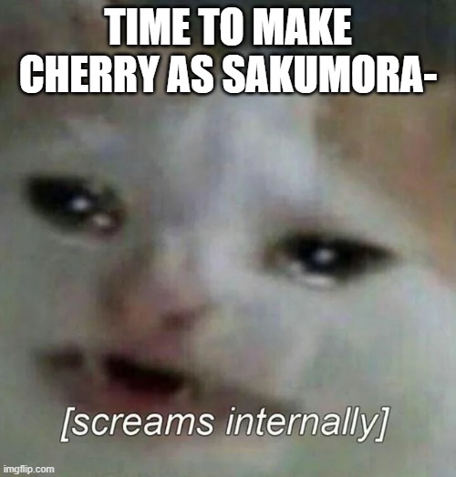 Crying cat screams internally | TIME TO MAKE CHERRY AS SAKUMORA- | image tagged in crying cat screams internally | made w/ Imgflip meme maker