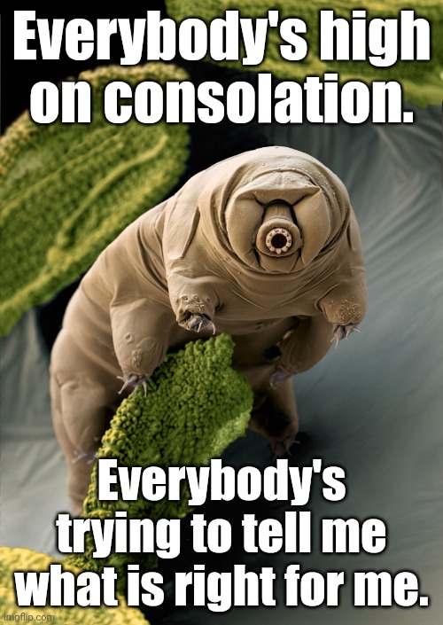 I'm a Tardigrade. I can survive 30 years without food & water. | Everybody's high
on consolation. Everybody's
trying to tell me
what is right for me. | image tagged in i'm a tardigrade i can survive 30 years without food water | made w/ Imgflip meme maker