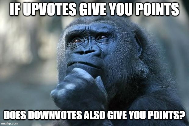 hmmm. | IF UPVOTES GIVE YOU POINTS; DOES DOWNVOTES ALSO GIVE YOU POINTS? | image tagged in deep thoughts,gorilla,memes | made w/ Imgflip meme maker