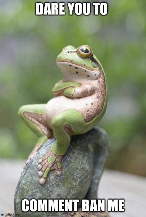 No bitches? | DARE YOU TO; COMMENT BAN ME | image tagged in i dare you frog,no bitches | made w/ Imgflip meme maker