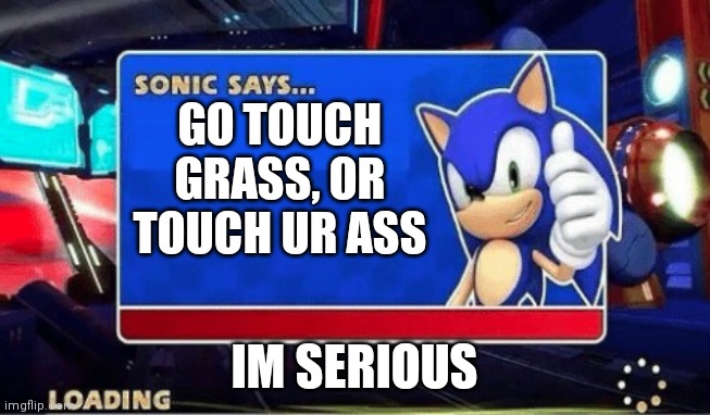 Go touch grass....or touch ur ass |  GO TOUCH GRASS, OR TOUCH UR ASS; IM SERIOUS | image tagged in sonic says | made w/ Imgflip meme maker