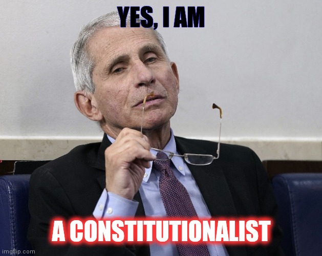 Why, yes... | YES, I AM; A CONSTITUTIONALIST | image tagged in dr fauci,liar,arrested,public,trial | made w/ Imgflip meme maker