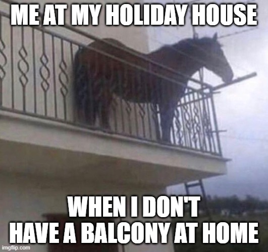 Horse meme | ME AT MY HOLIDAY HOUSE; WHEN I DON'T HAVE A BALCONY AT HOME | image tagged in memes,funny,boring | made w/ Imgflip meme maker