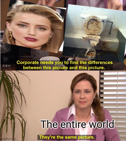 Amber Heard | The entire world | image tagged in memes,they're the same picture | made w/ Imgflip meme maker