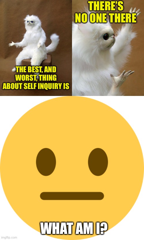 Who or what am I? What is this “I” we all refer to ourselves as? |  THERE’S NO ONE THERE; THE BEST, AND WORST, THING ABOUT SELF INQUIRY IS; WHAT AM I? | image tagged in memes,persian cat room guardian,neutral emoji | made w/ Imgflip meme maker