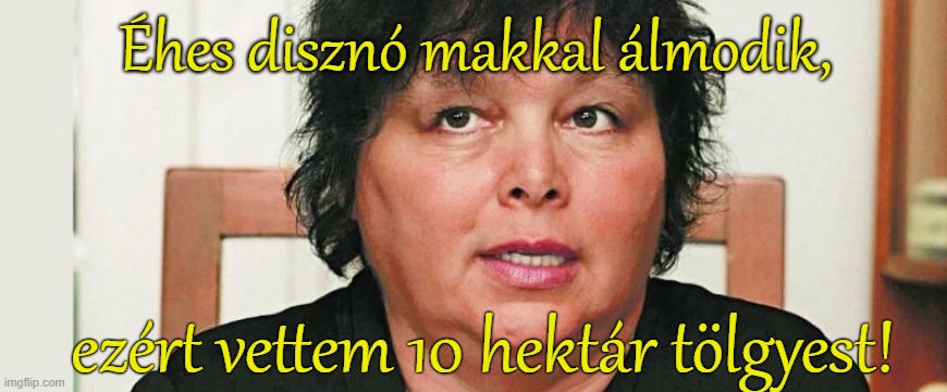 Éhes disznó makkal álmodik, ezért vettem 10 hektár tölgyest! | made w/ Imgflip meme maker