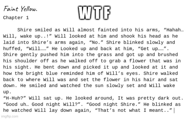 W T F | made w/ Imgflip meme maker