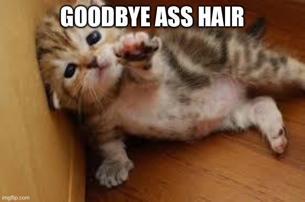 Sad Kitten Goodbye | GOODBYE ASS HAIR | image tagged in sad kitten goodbye | made w/ Imgflip meme maker