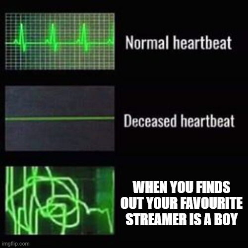 this is gonna hurt isn't it | WHEN YOU FINDS OUT YOUR FAVOURITE STREAMER IS A BOY | image tagged in heartbeat rate | made w/ Imgflip meme maker