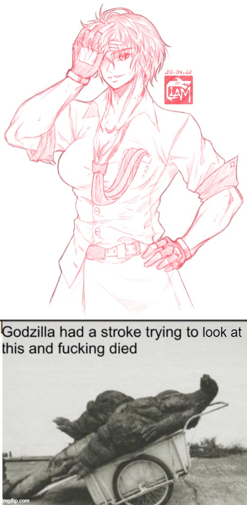 Really, I almost died from anoxia just because of that freaking image! |  look at | image tagged in godzilla had a stroke trying to read this and fricking died,touhou,cursed image,dies from cringe,cringe worthy | made w/ Imgflip meme maker