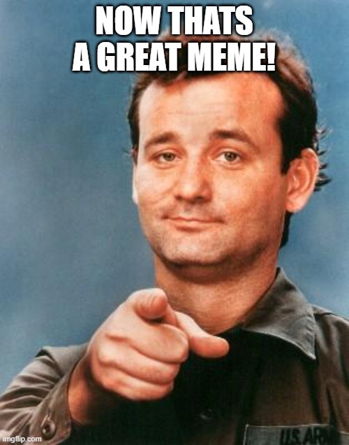 Bill Murray You're Awesome | NOW THATS A GREAT MEME! | image tagged in bill murray you're awesome | made w/ Imgflip meme maker