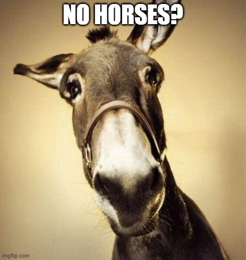 im the cavalry now | NO HORSES? | image tagged in mule,no bitches,memes,funny | made w/ Imgflip meme maker