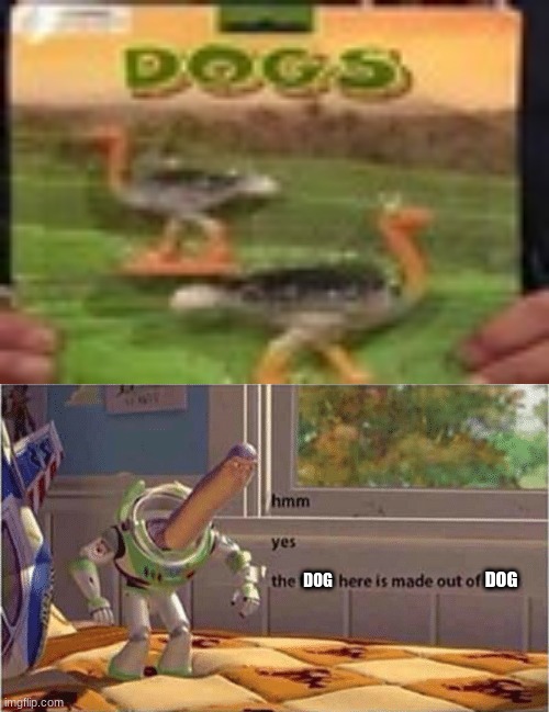 yes they are definitely dogs | DOG; DOG | image tagged in hmm yes the floor here is made out of floor | made w/ Imgflip meme maker