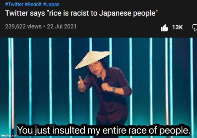 Rice-ist | image tagged in you just insulted my entire race of people,japan,rice,twitter,eat more rice to stop racism | made w/ Imgflip meme maker