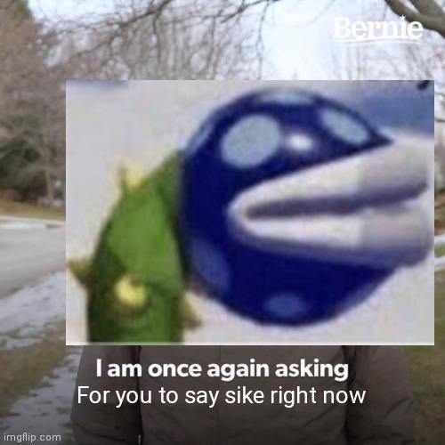 Say sike right now | For you to say sike right now | image tagged in bernie i am once again asking for your support | made w/ Imgflip meme maker
