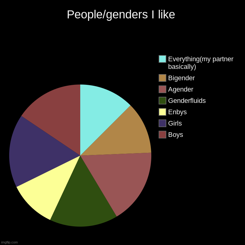 I honestly don't care what your gender identity of expression is, I'm here for ✨personaity✨ | People/genders I like | Boys, Girls, Enbys, Genderfluids, Agender, Bigender, Everything(my partner basically) | image tagged in charts,pie charts | made w/ Imgflip chart maker