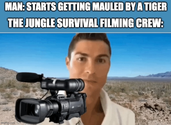Cameraman help me PLEASE |  MAN: STARTS GETTING MAULED BY A TIGER; THE JUNGLE SURVIVAL FILMING CREW: | image tagged in tiger,camera,cameraman,jungle,memes | made w/ Imgflip meme maker