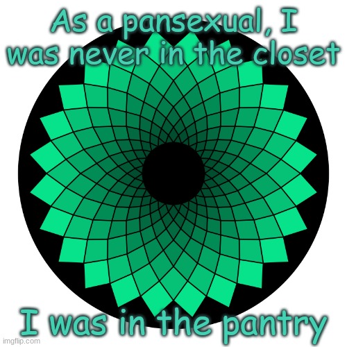 Bad joke :D | As a pansexual, I was never in the closet; I was in the pantry | image tagged in bad joke,dad joke | made w/ Imgflip meme maker