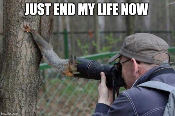 Jehovas Witness Squirrel | JUST END MY LIFE NOW | image tagged in memes,jehovas witness squirrel | made w/ Imgflip meme maker