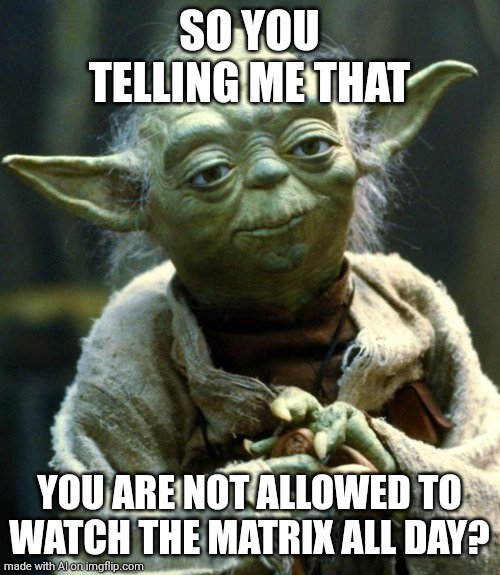 No matrix ? | SO YOU TELLING ME THAT; YOU ARE NOT ALLOWED TO WATCH THE MATRIX ALL DAY? | image tagged in memes,star wars yoda | made w/ Imgflip meme maker