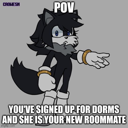 She'd be wearing a white band T-shirt, a red and black plaid jacket, and light blue jeans | POV; YOU'VE SIGNED UP FOR DORMS AND SHE IS YOUR NEW ROOMMATE | image tagged in sonic ocs aren't needed,no joke ocs or military ocs,can be any rp tbh | made w/ Imgflip meme maker