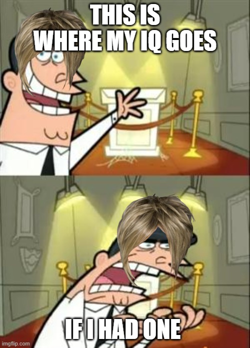 like- ik this is cliché but me dump for meme idea........ | THIS IS WHERE MY IQ GOES; IF I HAD ONE | image tagged in memes,this is where i'd put my trophy if i had one | made w/ Imgflip meme maker