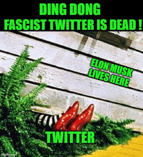 yep | FASCIST TWITTER IS DEAD ! DING DONG; ELON MUSK LIVES HERE; TWITTER | image tagged in elon musk | made w/ Imgflip meme maker