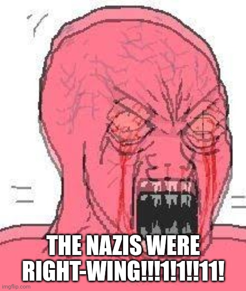 Hysterical wojak | THE NAZIS WERE RIGHT-WING!!!1!1!!11! | image tagged in hysterical wojak | made w/ Imgflip meme maker