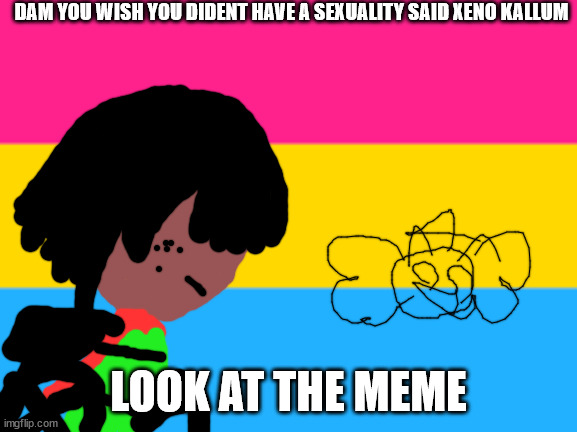pansexual memes | DAM YOU WISH YOU DIDENT HAVE A SEXUALITY SAID XENO KALLUM; LOOK AT THE MEME | image tagged in memes | made w/ Imgflip meme maker
