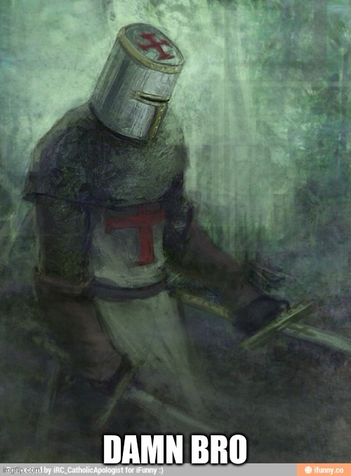 Sad Crusader | DAMN BRO | image tagged in sad crusader | made w/ Imgflip meme maker