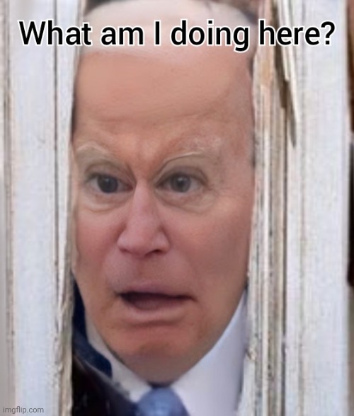 What am I doing here? | image tagged in what am i doing here,biden has cognitive problems | made w/ Imgflip meme maker