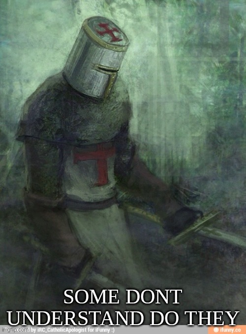 Sad Crusader | SOME DONT UNDERSTAND DO THEY | image tagged in sad crusader | made w/ Imgflip meme maker