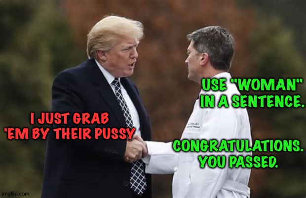 USE "WOMAN" IN A SENTENCE. I JUST GRAB 'EM BY THEIR PUSSY CONGRATULATIONS.
YOU PASSED. | made w/ Imgflip meme maker
