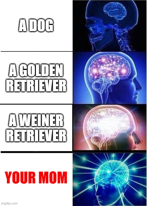 Expanding Brain | A DOG; A GOLDEN RETRIEVER; A WEINER RETRIEVER; YOUR MOM | image tagged in memes,expanding brain | made w/ Imgflip meme maker