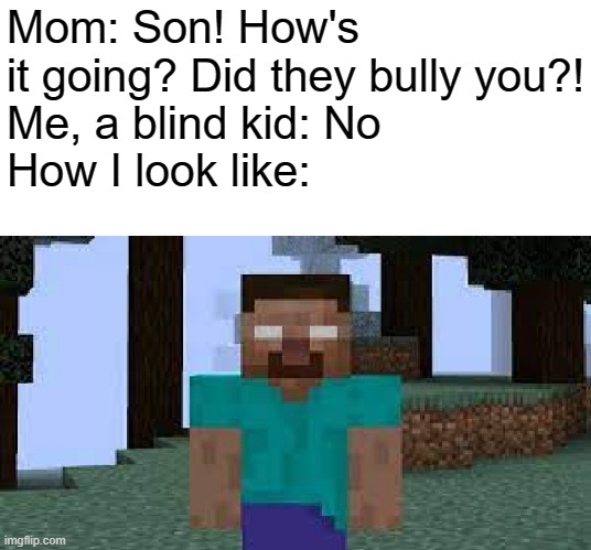 Didn't mean to make fun of the blind | Mom: Son! How's it going? Did they bully you?!
Me, a blind kid: No
How I look like: | image tagged in herobrine encounter,memes,minecraft,funny | made w/ Imgflip meme maker