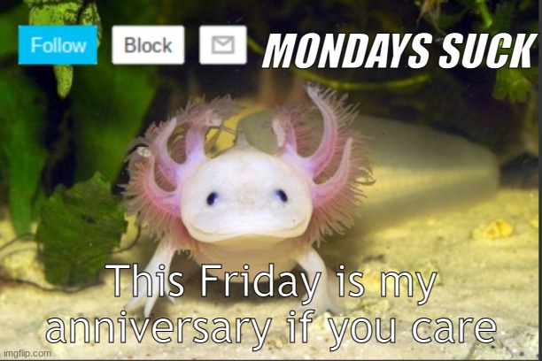 im shouting out all those helped me on this journey, maybe | MONDAYS SUCK; This Friday is my anniversary if you care | image tagged in axolotldudes announcement template | made w/ Imgflip meme maker