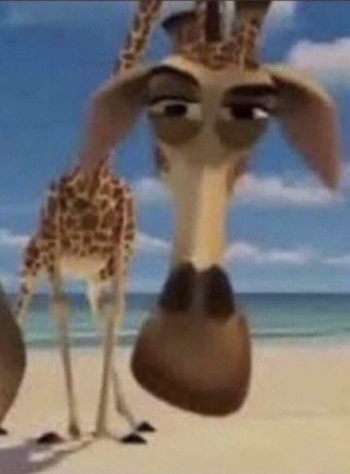 High Quality Giraffe Blank Meme Template