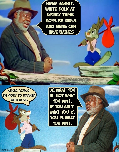 Lessons you can learn from Uncle Remus & Br'er Rabbit | BRER RABBIT, 
WHITE FOLK AT 
DISNEY THINK 
BOYS BE GIRLS
AND MENS CAN
HAVE BABIES; UNCLE REMUS,
I'M GOIN' TO WARNER
WITH BUGS; BE WHAT YOU
IS, NOT WHAT
YOU AIN'T.
IF YOU AIN'T 
WHAT YOU IS,
YOU IS WHAT
YOU AIN'T. | image tagged in vince vance,song of the south,uncle remus,brer rabbit,disney,woke | made w/ Imgflip meme maker