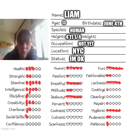 Profile card | LIAM; 13; JUNE 4TH; HUMAN; 4'11 1/4; NOT YET; NYC; IM OK | image tagged in profile card | made w/ Imgflip meme maker