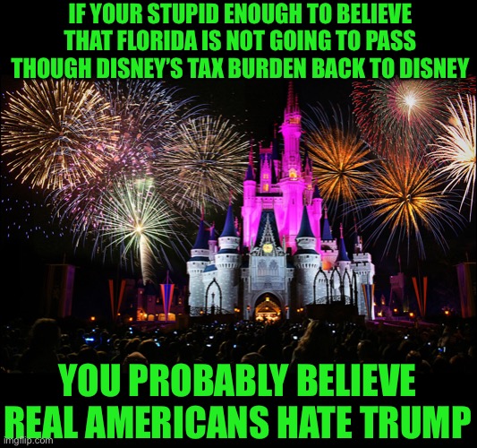 yep | IF YOUR STUPID ENOUGH TO BELIEVE THAT FLORIDA IS NOT GOING TO PASS THOUGH DISNEY’S TAX BURDEN BACK TO DISNEY; YOU PROBABLY BELIEVE REAL AMERICANS HATE TRUMP | image tagged in disney world | made w/ Imgflip meme maker