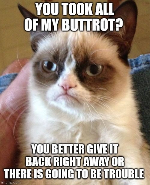 Grumpy Cat | YOU TOOK ALL OF MY BUTTROT? YOU BETTER GIVE IT BACK RIGHT AWAY OR THERE IS GOING TO BE TROUBLE | image tagged in memes,grumpy cat | made w/ Imgflip meme maker