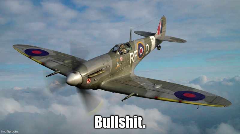 Spitfire | Bullshit. | image tagged in spitfire | made w/ Imgflip meme maker