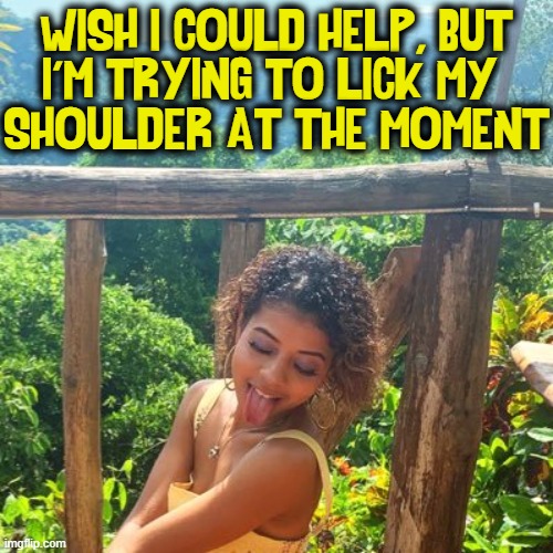 WISH I COULD HELP, BUT
I'M TRYING TO LICK MY 
SHOULDER AT THE MOMENT | made w/ Imgflip meme maker