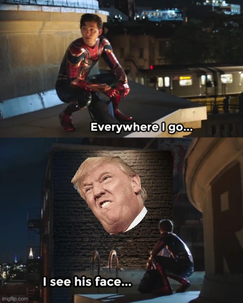 Donald Dump | image tagged in everywhere i go spider-man,donald trump | made w/ Imgflip meme maker