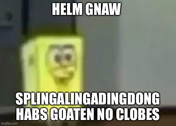Splingbip | HELM GNAW; SPLINGALINGADINGDONG HABS GOATEN NO CLOBES | made w/ Imgflip meme maker