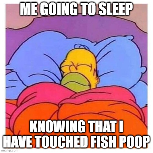 sleeping homer | ME GOING TO SLEEP; KNOWING THAT I HAVE TOUCHED FISH POOP | image tagged in sleeping homer | made w/ Imgflip meme maker