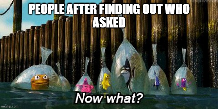 Now What? | PEOPLE AFTER FINDING OUT WHO
ASKED | image tagged in now what,memes,funny,unfunny,oh wow are you actually reading these tags,stop reading the tags | made w/ Imgflip meme maker