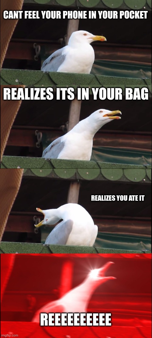 Inhaling Seagull | CANT FEEL YOUR PHONE IN YOUR POCKET; REALIZES ITS IN YOUR BAG; REALIZES YOU ATE IT; REEEEEEEEEE | image tagged in memes,inhaling seagull | made w/ Imgflip meme maker